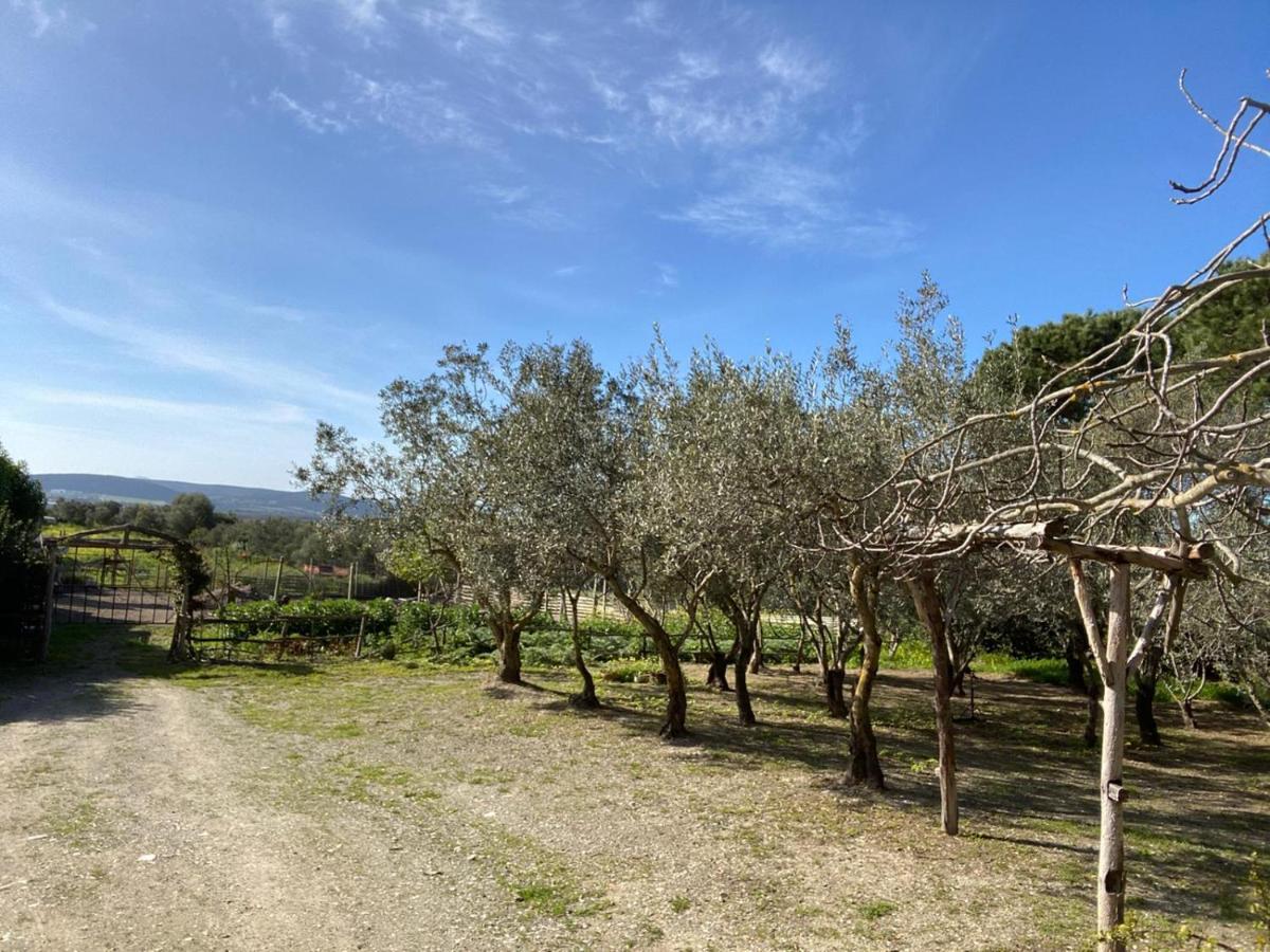B&B Il Girasole SantʼAnna Arresi Exteriör bild