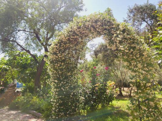 B&B Il Girasole SantʼAnna Arresi Exteriör bild