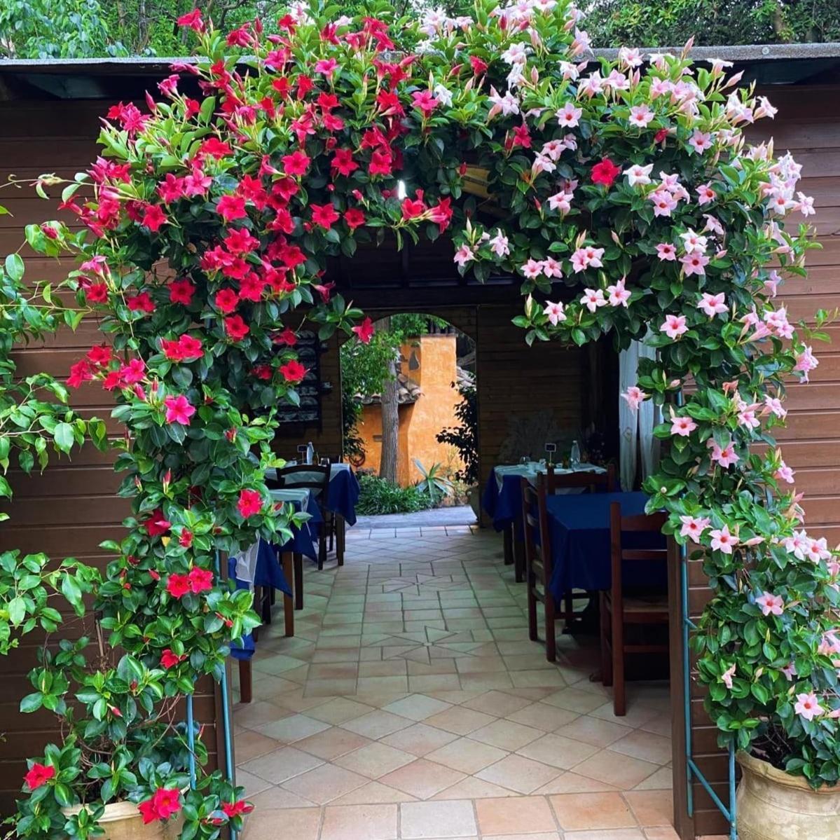 B&B Il Girasole SantʼAnna Arresi Exteriör bild